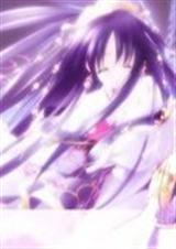 公主殿下别跑免费阅读