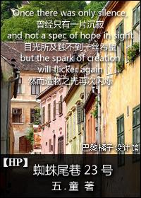 hp蜘蛛尾巷的小仙女