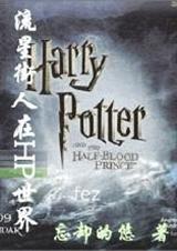 关于流星街人穿越的