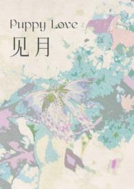 见月律师简介