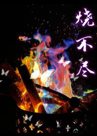 烧不尽图片