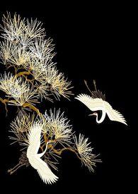 涅槃烬余录免费观看