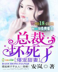 言情说 宠妻总裁坏透了
