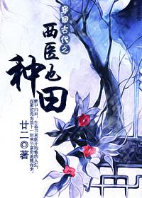 穿回古代之西医也种田 作者廿二