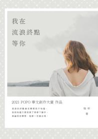 在我流浪他乡的这些年