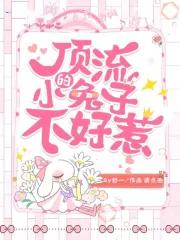 顶流的小兔子不好惹TXT百度