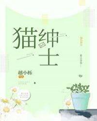 猫绅士加载不出来