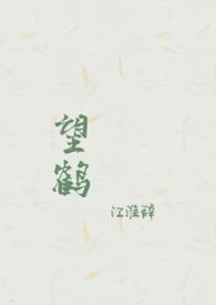 鹤望兰绿植图片