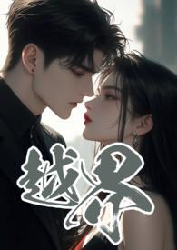 越界 电视剧