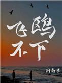纸飞机潭石