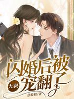 闪婚大叔宠妻上瘾