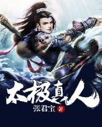 太极打斗真人版