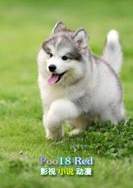 小奶狗(年下) 笔趣阁