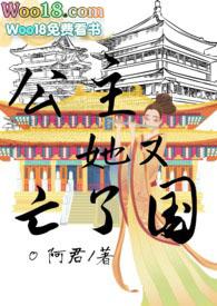 公主又怀了