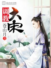 调教大宋校对版