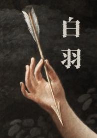 男主角白羽是哪部