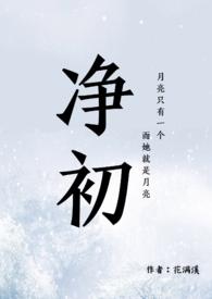 净初讲的是什么