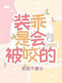 装乖讲了什么
