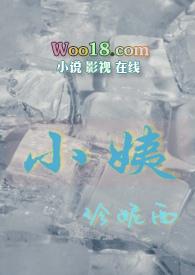 小姨(姨侄年下 1v1)po