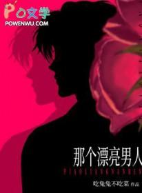 那个漂亮男人笔趣阁