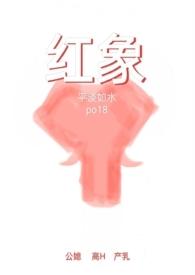 红象公媳高H