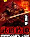 武道乾坤境界