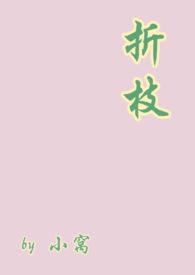 折枝攻是谁