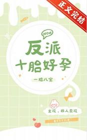 反派十胎好孕TXT百度
