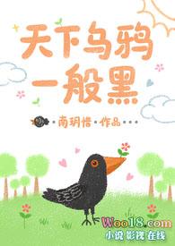天下乌鸦一般黑歌词完整版