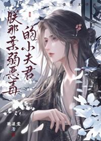 朕那柔弱恶毒的小夫君讲的什么