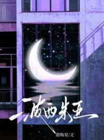 波西米亚国旗