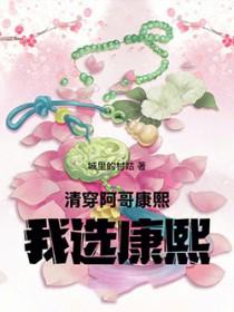 清穿康熙嫡阿哥