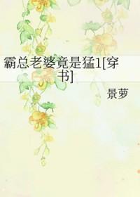 霸总宠妻免费