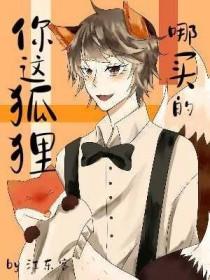 狐狸在哪有买的