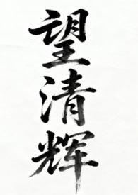 望清全文txt