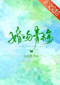 婚吻青梅安遇