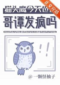 哥谭猫头鹰会议