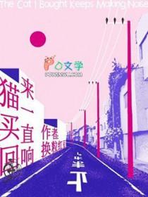 买猫回来一直叫