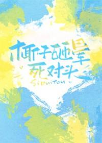 椰子掉下来砸到人