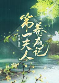 第一夫人番外完整