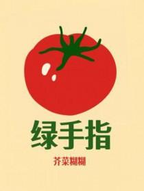绿手指中药贴敷加盟