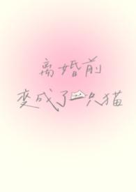 离婚前变成了一只猫by