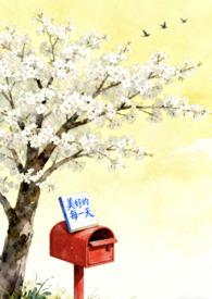 美好的每一天重制版