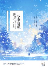 冬日的暖阳作文