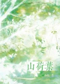 山荷叶花的雅称