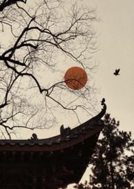 雀儿药粥在线阅读