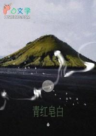 青红皂白的近义词