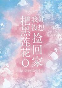 我真没想把黑莲花o捡回家免费鸽子不会咕咕咕