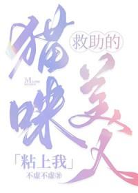 救助的猫咪美人粘上我百度