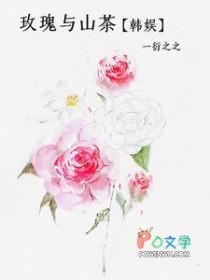 玫瑰cp